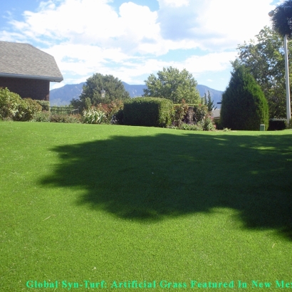 Artificial Grass Carpet Cerritos, California Landscaping Business, Backyard Landscaping