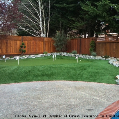 Artificial Grass Carpet Gilroy, California Putting Green Carpet, Small Backyard Ideas