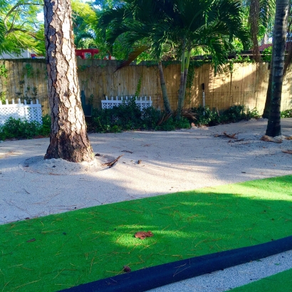 Artificial Grass Carpet Medina, Ohio Landscape Photos, Parks