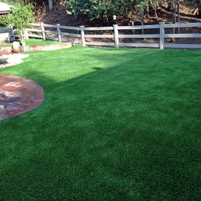 Artificial Grass Carpet Southgate, Michigan Landscaping Business, Backyard
