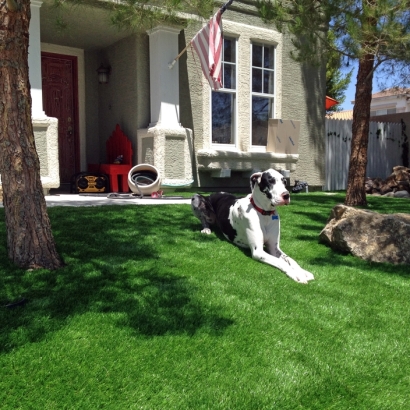 Artificial Grass Coppell, Texas Watch Dogs, Front Yard Landscaping Ideas