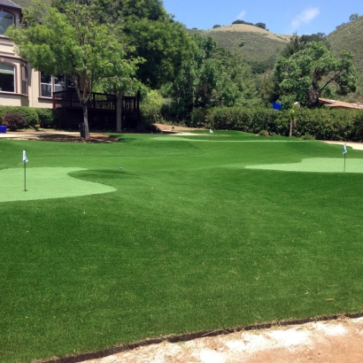 Artificial Grass Installation Georgetown, Texas Artificial Putting Greens, Front Yard Ideas