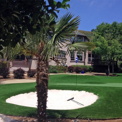 Artificial Grass Installation Georgetown, Texas Artificial Putting Greens, Front Yard Ideas