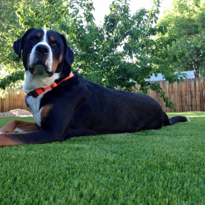 Artificial Grass Installation Saint Louis Park, Minnesota Dog Parks, Backyard Landscape Ideas