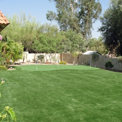 Artificial Grass Installation Sumter, South Carolina Outdoor Putting Green, Backyard