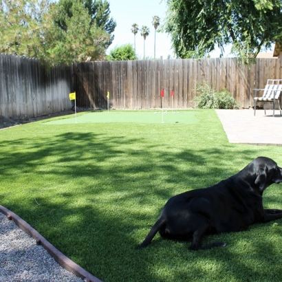 Artificial Grass Maryland Heights, Missouri Hotel For Dogs, Backyard Landscaping