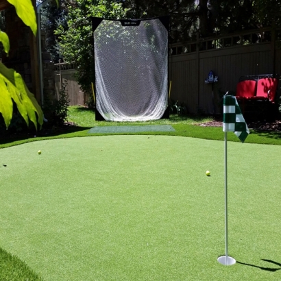 Artificial Grass Phenix City, Alabama Landscape Ideas, Beautiful Backyards