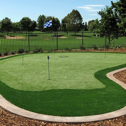 Artificial Grass Reynoldsburg, Ohio Office Putting Green, Backyard Design