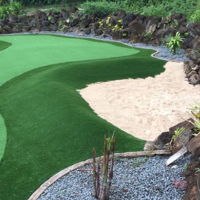 Artificial Lawn Cantonment, Florida Office Putting Green, Backyard Landscape Ideas
