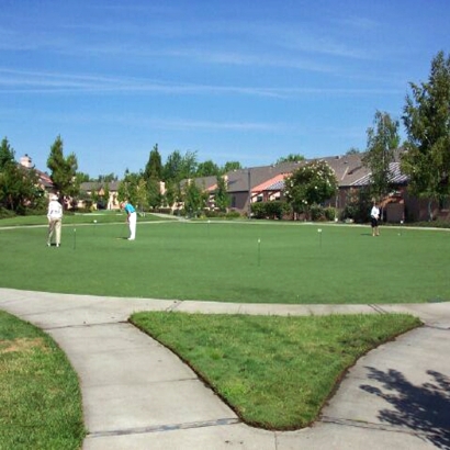 Artificial Lawn Martinez, Georgia Backyard Playground, Commercial Landscape