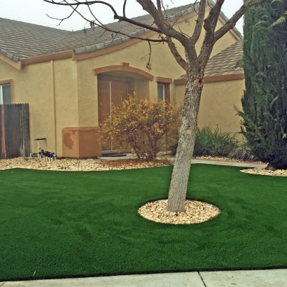 Artificial Lawn Maywood, California Landscape Design, Front Yard