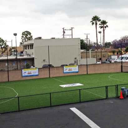 Artificial Lawn Pflugerville, Texas Backyard Sports, Commercial Landscape