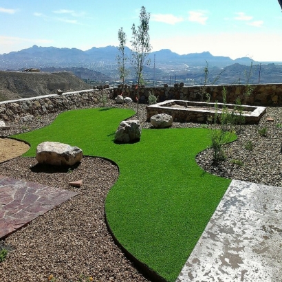 Artificial Lawn Shakopee, Minnesota Artificial Grass For Dogs, Backyard Landscape Ideas