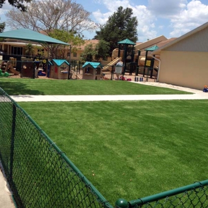 Artificial Lawn South Gate, Maryland Lacrosse Playground, Commercial Landscape