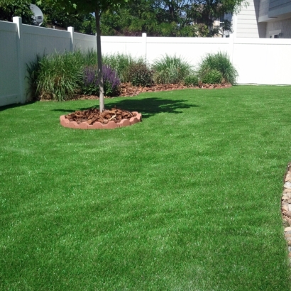 Artificial Lawn Tigard, Oregon Landscape Ideas, Backyard Landscape Ideas