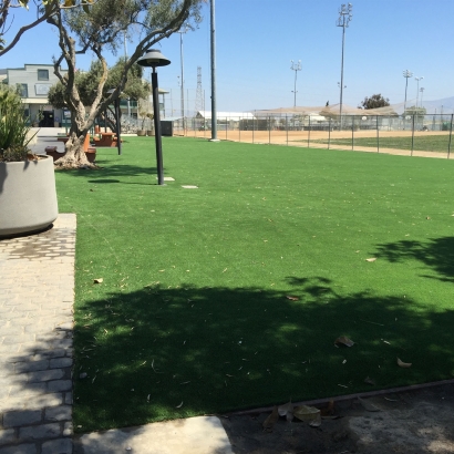 Artificial Lawn Windsor, California Garden Ideas, Commercial Landscape