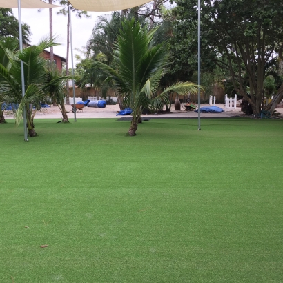 Artificial Turf Benicia, California City Landscape, Commercial Landscape