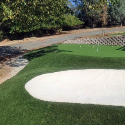 Artificial Turf Cost Alexandria, Louisiana Roof Top, Front Yard