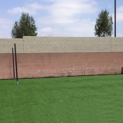 Artificial Turf Cost Belleville, New Jersey City Landscape