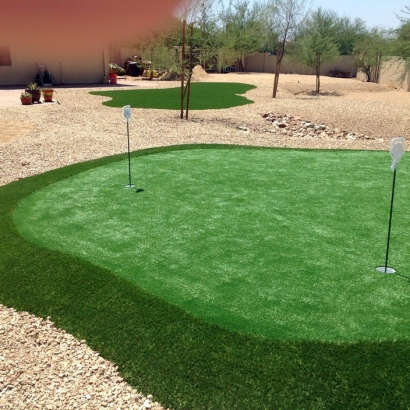 Artificial Turf Cost Inver Grove Heights, Minnesota Putting Green Carpet, Backyards