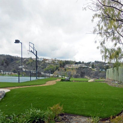 Artificial Turf Cost Linton Hall, Virginia Rooftop, Commercial Landscape