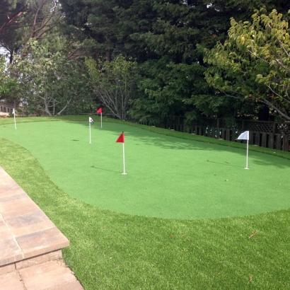 Artificial Turf Cost North Bel Air, Maryland Indoor Putting Green, Backyard Landscaping Ideas