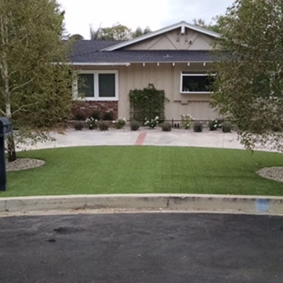 Artificial Turf Cost Opelika, Alabama Landscaping Business, Front Yard Landscaping