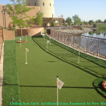 Artificial Turf Cost Pine Bluff, Arkansas Indoor Putting Green, Backyards