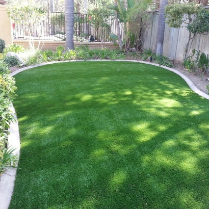 Artificial Turf DeLand, Florida Lawns