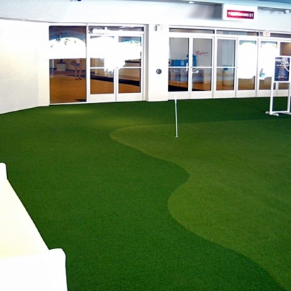 Artificial Turf East Lake, Florida Putting Green Carpet, Commercial Landscape