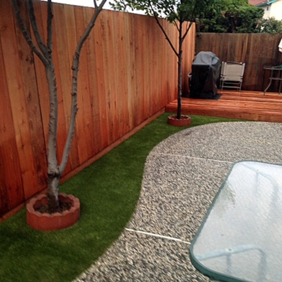 Artificial Turf Installation Atwater, California Dog Pound, Backyard Landscaping Ideas