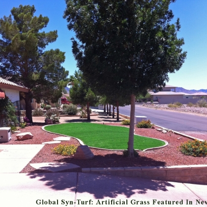 Artificial Turf Pinellas Park, Florida Landscape Ideas, Small Front Yard Landscaping