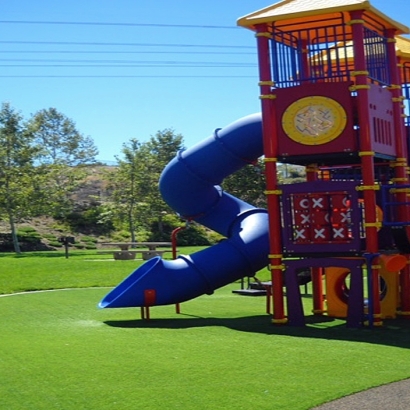 Artificial Turf Riviera Beach, Florida Landscape Design, Parks