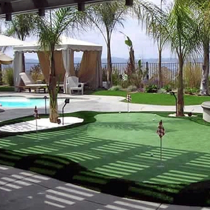 Artificial Turf San Pablo, California Putting Green Grass, Natural Swimming Pools