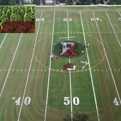 Artificial Turf Tuckahoe, Virginia Sports Athority