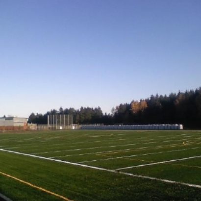 Artificial Turf Tuckahoe, Virginia Sports Athority