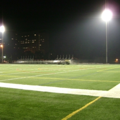 Artificial Turf Tuckahoe, Virginia Sports Athority