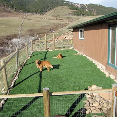 Best Artificial Grass Caldwell, Idaho Pet Paradise, Backyard Landscape Ideas
