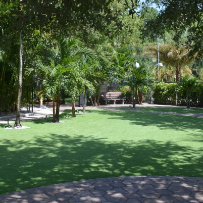 Best Artificial Grass Watertown, New York Landscape Photos, Commercial Landscape