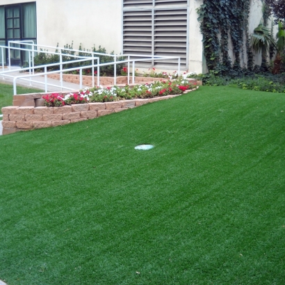 Best Artificial Grass Wheat Ridge, Colorado Home And Garden, Front Yard Ideas