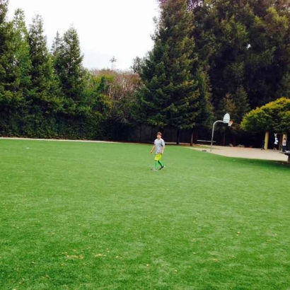 Best Artificial Grass Willowbrook, California Soccer Fields, Parks