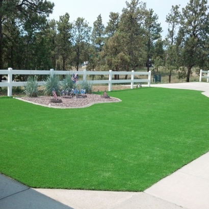 Fake Grass Carpet Bedford, Texas Roof Top, Front Yard Design