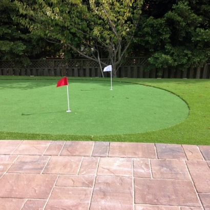 Fake Grass Carpet Rome, New York Outdoor Putting Green, Backyard Landscaping Ideas