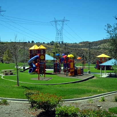 Fake Grass Carpet Socorro, Texas Home And Garden, Parks