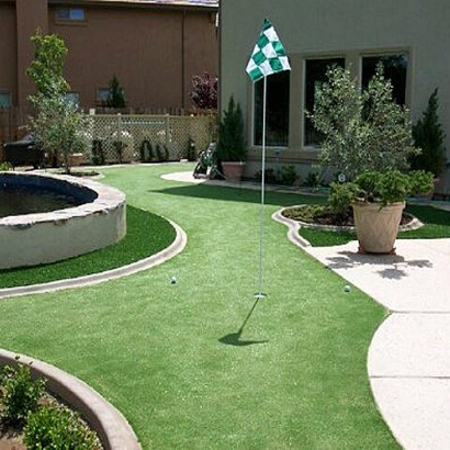 Fake Grass Carpet South Miami Heights, Florida How To Build A Putting Green, Backyard