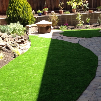 Fake Grass Carpet Stoughton, Massachusetts Landscape Ideas