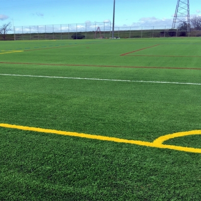 Fake Grass Carpet Wellesley, Massachusetts Backyard Sports