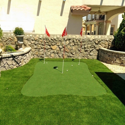 Fake Grass Hallandale Beach, Florida Backyard Putting Green, Backyard Landscape Ideas