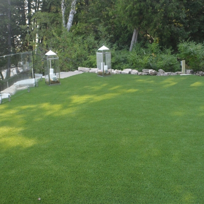 Fake Grass Leander, Texas City Landscape, Backyards