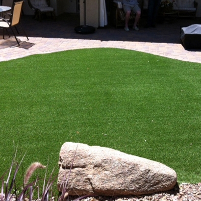 Fake Grass Marrero, Louisiana Lawn And Garden, Backyard